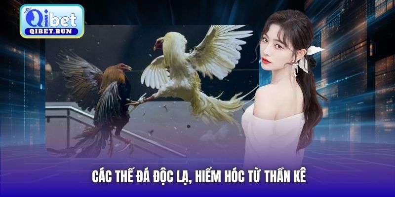 Các thế đá độc lạ, hiểm hóc từ thần kê