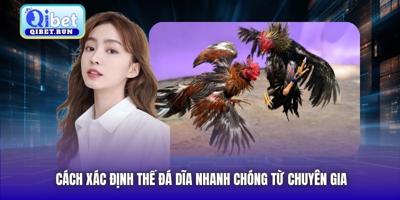 Cách xác định thế đá dĩa nhanh chóng từ chuyên gia