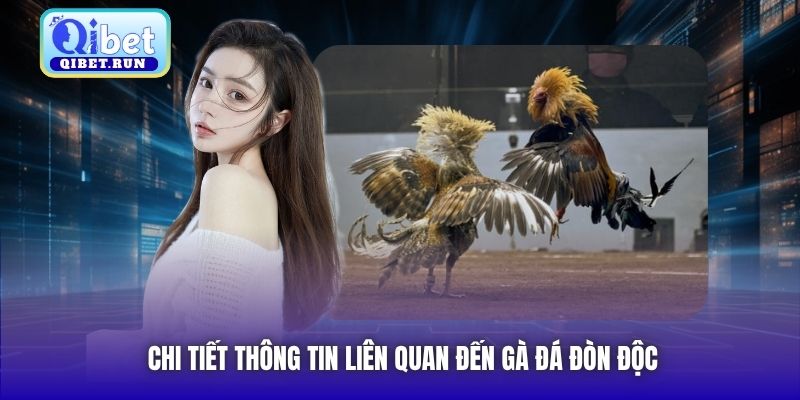 Chi tiết thông tin liên quan đến gà đá đòn độc