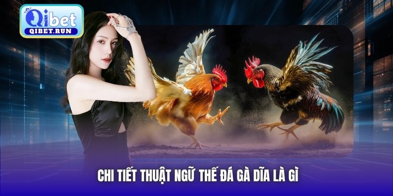 Chi tiết thuật ngữ thế đá gà dĩa là gì