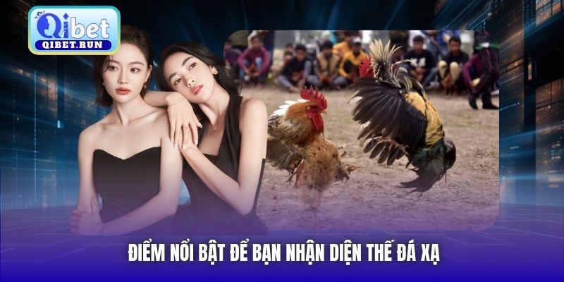 Điểm nổi bật để bạn nhận diện thế đá xạ