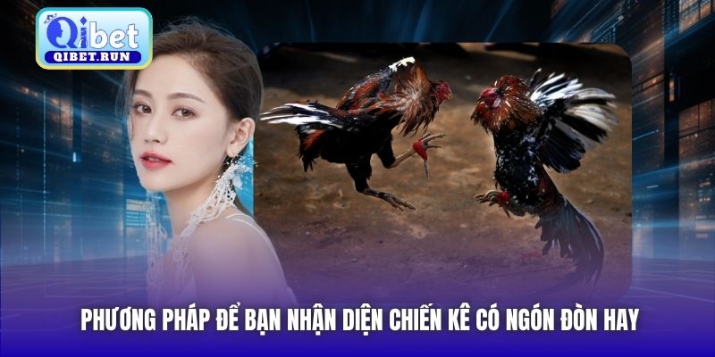 Phương pháp để bạn nhận diện chiến kê có ngón đòn hay