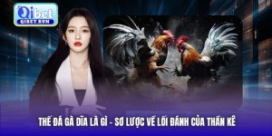 Thế Đá Gà Dĩa Là Gì - Sơ Lược Về Lối Đánh Của Thần Kê