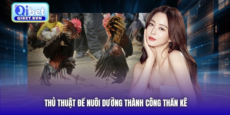 Thủ thuật để nuôi dưỡng thành công thần kê